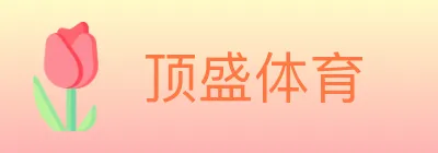 顶盛体育 logo